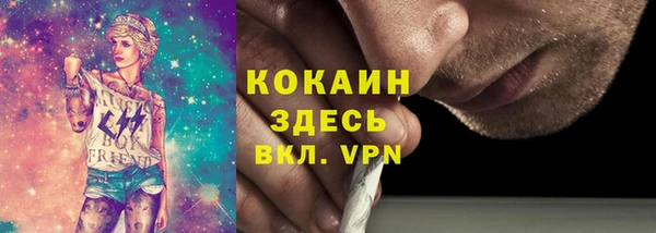 PSILOCYBIN Богородицк