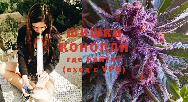 PSILOCYBIN Богородицк