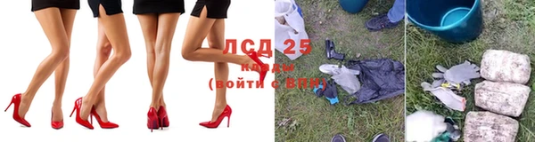 PSILOCYBIN Богородицк