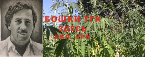 PSILOCYBIN Богородицк