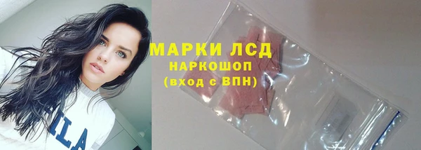 apvp Богородск