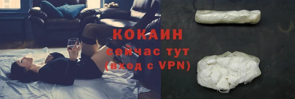 apvp Богородск