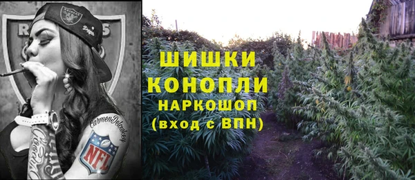 apvp Богородск