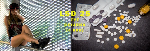 PSILOCYBIN Богородицк